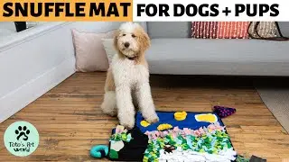 Snuffle Mat for Large Dogs - Feeding Mat - Dog Activity