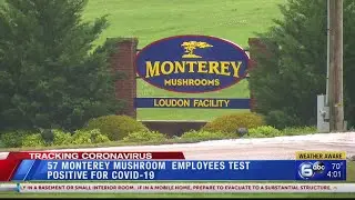 57 Monterey Mushroom employees test positive for COVID-19