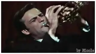 Robert Wagner  Work it out
