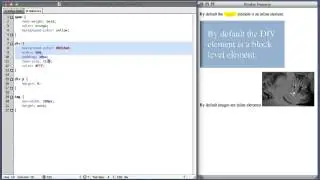 CSS Display Property Tutorial