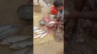 Fish Shopping with Family ❤️ #MiniVlog #NTStar