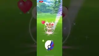 Shiny Lion Cub