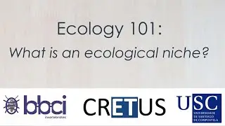 Ecology 101: What's a species ecological niche?