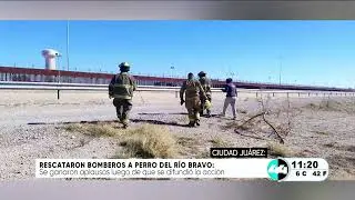 Firefighters rescued a dog from the Rio Grande