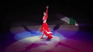 Хабаровский цирк 2022 Танго воздух