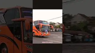 Telolet Magic In The Air #telolet #shorts #basuri #busmania #music