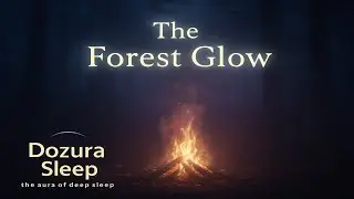 The Forest Glow 🌙 | 10 Hours of Dreamlike Forest Fire Ambience (Black Screen)
