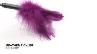 Feather Tickler 7