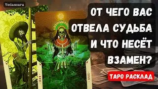 💥 ОТ ЧЕГО ВАС ОТВЕЛА СУДЬБА И ЧТО НЕСЁТ ВЗАМЕН? 💥🎀⭐️ Таро гадание онлайн