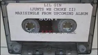 Lil Gin Feat. Skinny Pimp - Pimp Shit (instrumental)