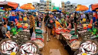 Cambodian Wet Market in Morning. Wet Market has a lot of live Fish, Both Small and Large