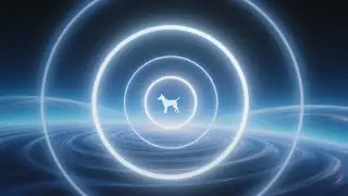 12 Hours of 396 Hz Emotional Relief for Dogs – Calming Atmosphere