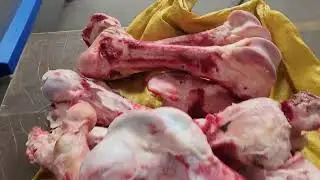 Breaker - Beef Leg Bones