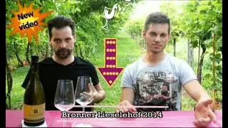 Recensione vino #WineNotWine - Lieselehof