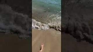 #vlog #travel #caribbeanisland #beach #dominicanrepublic #nature #puntacana #vacation #casadecampo
