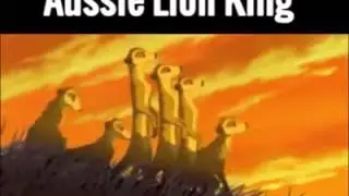 Aussie lion king