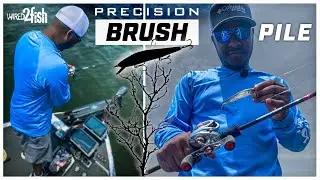 How to Catch Bass from Brush Piles | 1-2 Punch