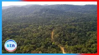 Government  launches a Sh21.5 billion plan to restore 33 acres of degraded land in Mau Forest