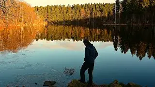 Hiking the frozen forest | Four very cold days on Skåneleden