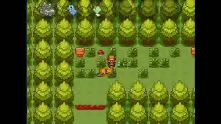 Pok&eacute;mon mega adventure rendomzierd episode 1 choose our best starter