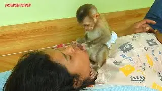 Cute Baby Monkey | Tiny Nina Checking Mouth For Mom