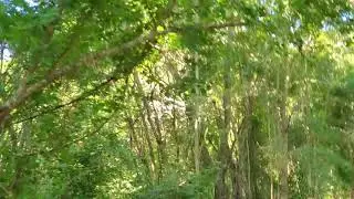 Solitary walk through Xlapak