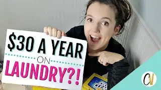 $30 A YEAR ON LAUNDRY?! MONEY SAVING HACKS!