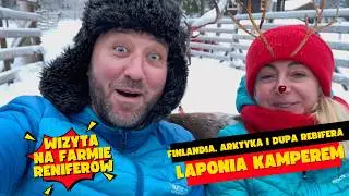 DU🍑A RENIFERA, WIZYTA NA FARMIE, ARKTYKA I LAPONIA