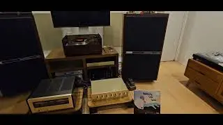 Pioneer exclusive P3a