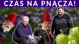 Sekrety uprawy pnączy jednorocznych.