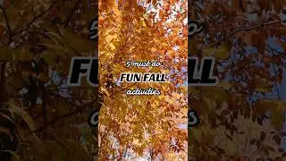 🍂 Fall is here, and Central Texas is bursting with seasonal fun!