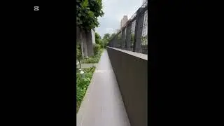 Exploring the Beauty of Nature | Peaceful Greenery Escape 🌳🍃