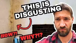 Finishing Tasks before PAINT! | Ep. 105