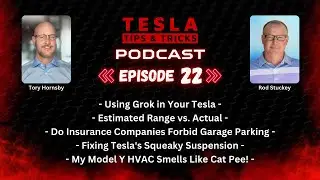 My Tesla Smells Like Cat Pee, Using Grok, Squeaky Suspensions & More - Tesla Tips Podcast E22
