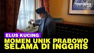 Prabowo Elus Larry Kucing Kantor PM Inggris, Ada Ratu Elizabeth & Raja Charles