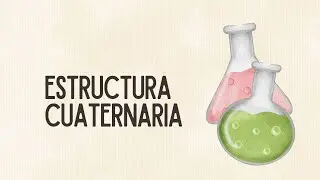 Clase 11: Estructura cuaternaria