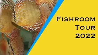 How to build a Discus fish room tour 2022!