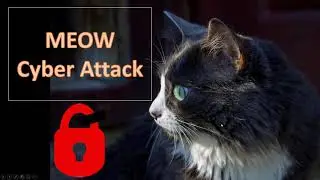 Meow Attack - 10000+ databases attacked - Cyber Security