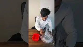 I TRIED SOME SCIENCE EXPERIMENTS 😨| Aditya Raj Anand