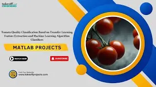 Tomato Quality Classification Based on Transfer Learning Feature Extraction