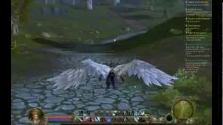AION Gliding Hints and Tips