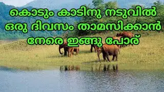 Thenmala Forest Stay I കൊടും കാട്ടിൽ താമസിക്കാൻ ഒരു അടിപൊളി അവസരം I Travel With Aalok I Vlog - 39