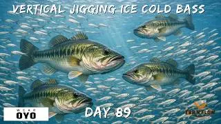 Vertical Jigging for COLD WATER BASS (Full Underwater Lure Breakdown)