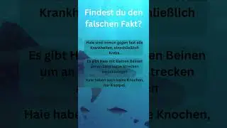 Dieser Fakt ist eine L&uuml;ge - Schau nicht in die Kommentare! #fakten #factshorts #test #facts