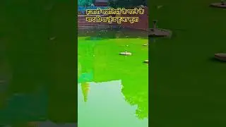 Priya kund news | #priyakund #viralvideo #barsana #shorts