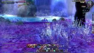 AION 5.0 Itsmebisu Assassin PvP Highlight