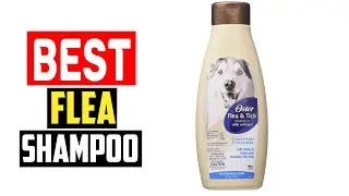 ✅Top 5 Best Flea Shampoo For Dogs in 2025