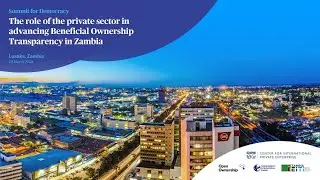 Private Sector's Role in Beneficial Ownership Transparency Reforms
