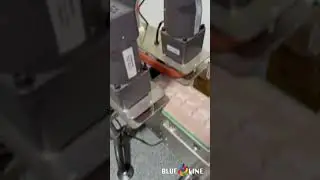 Lot Number Stamping by Blue Line Labels