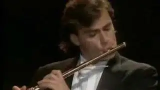 Luciano Pavarotti and Andrea Griminelli in Central Park - 1